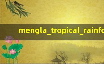 Mengla Tropical Rainforest