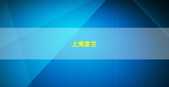 上海室兰实业有限公司总部大楼