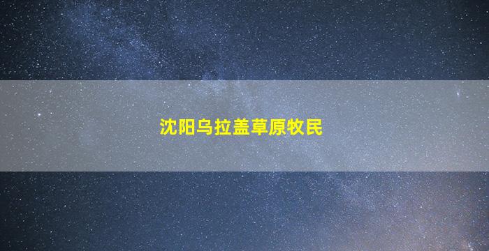 沈阳乌拉盖草原牧民